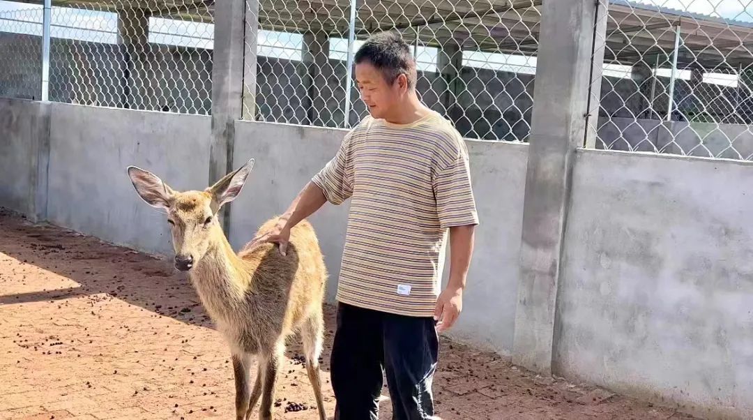 e世愽官网